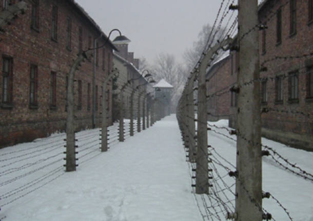 auschwitz interno shoah