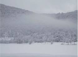 ghirla neve