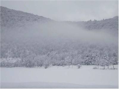 ghirla neve