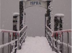 ispra neve
