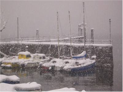 ispra neve