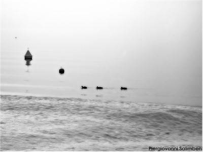 La quiete dopo la tempesta