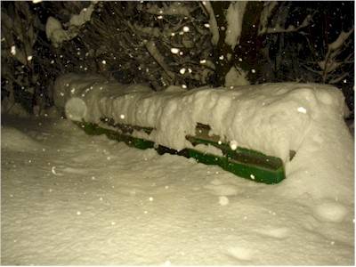 Le api sommerse dalla neve