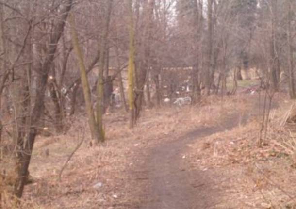 Le baracche nel bosco di via Romagna