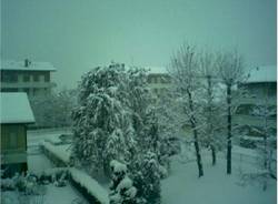 neve solbiate arno