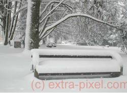 neve taino