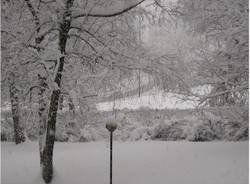 neve viale europa
