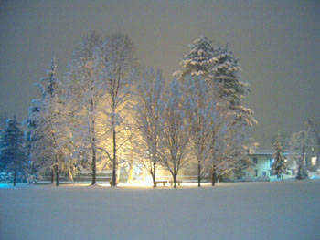 nevicata 27 gennaio 2006 vedano olona