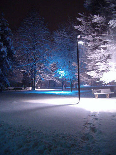 nevicata 27 gennaio 2006 vedano olona