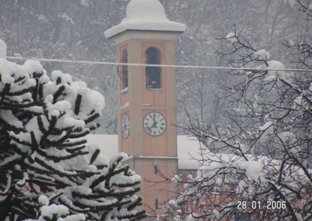 Cremenaga innevata 