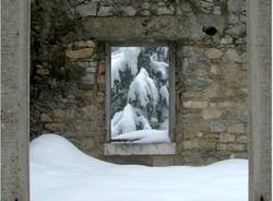 foto lettore campo dei fiori