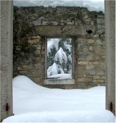 foto lettore campo dei fiori