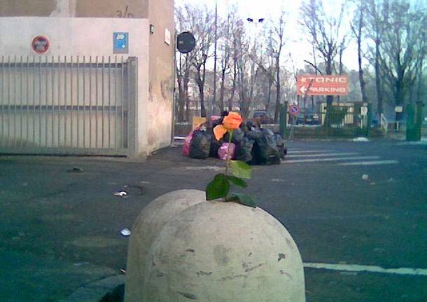 Poesia dei paesaggi urbani