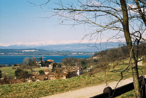 È arrivata la Primavera