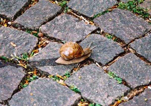 Senza stress