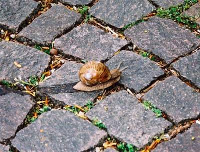Senza stress