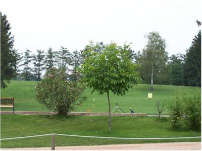golf panorama