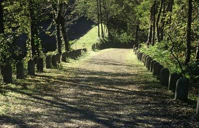 percorso ciclabile parco ticino