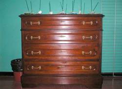 scuola elementare medea i lavori del laboratorio