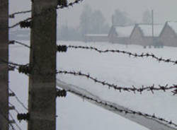 auschwitz ebrei olocausto shoah