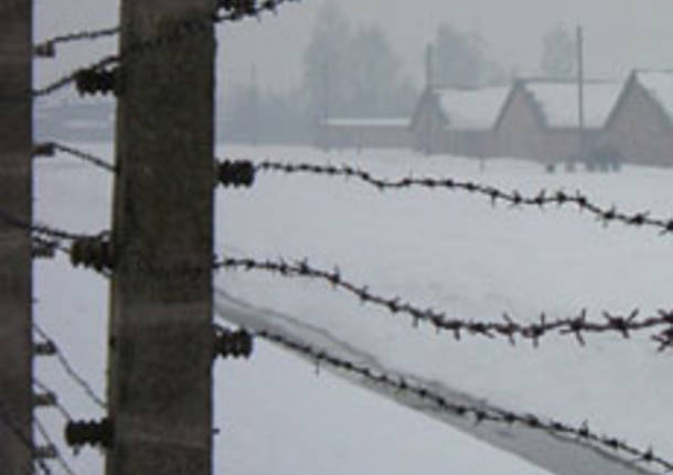 auschwitz ebrei olocausto shoah