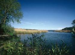 Itinerario cicloturistico lago varese palude brabbia galleria