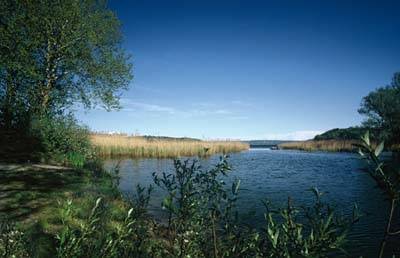 Itinerario cicloturistico lago varese palude brabbia galleria