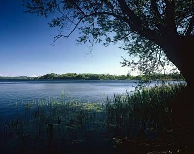 Itinerario cicloturistico lago varese palude brabbia galleria