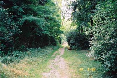 Verso Velate