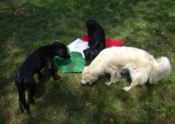 Zen, Mira e Marta, tifosi a 4 zampe 