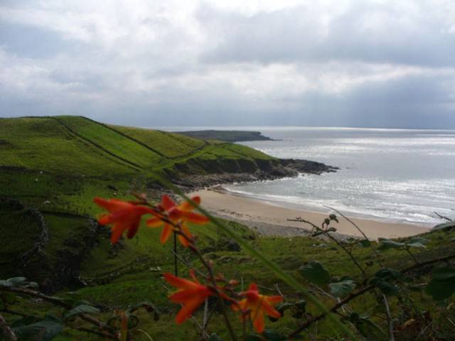 Irlanda 