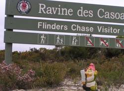 pisolo in viaggio in australia