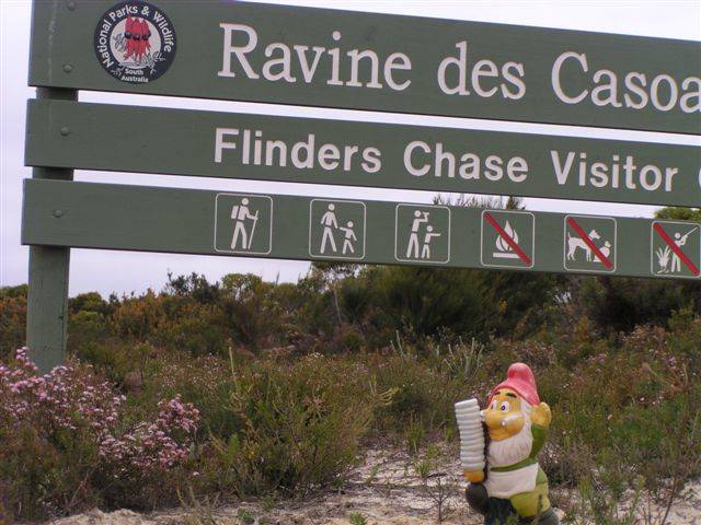 pisolo in viaggio in australia