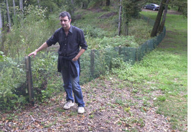 disboscamento_marzio