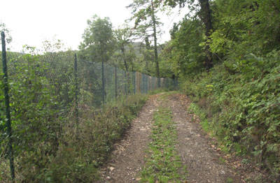 disboscamento_marzio