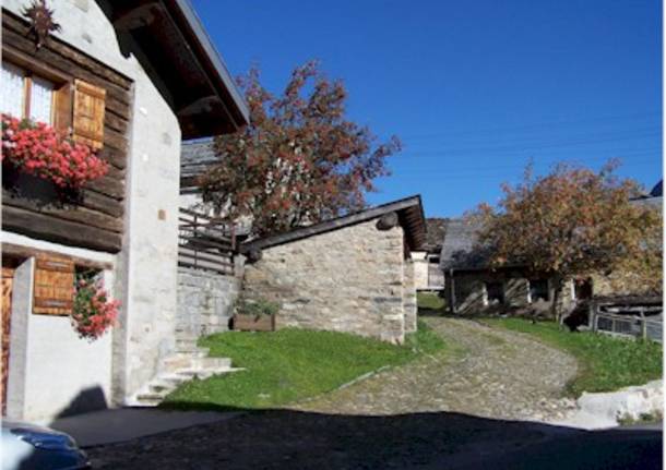 Autunno fiorito a biasca