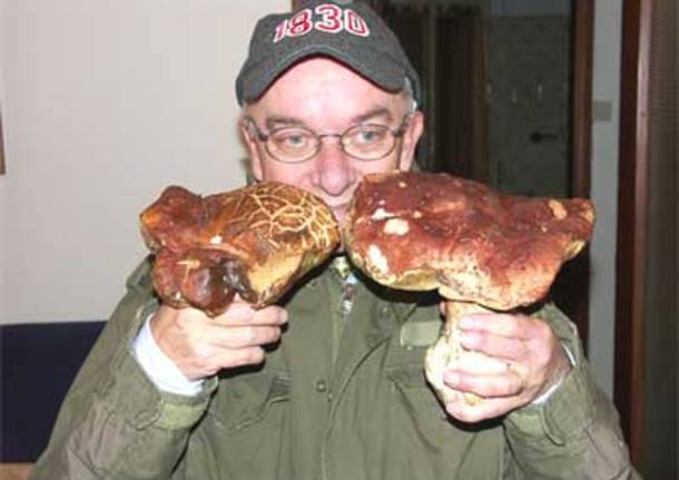 Funghi record