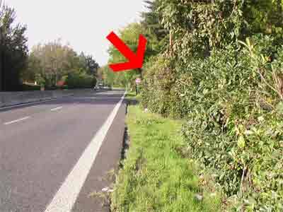 "gallina dalle uova d'oro, SS629, statale Vergiate-Besozzo, autovelox,