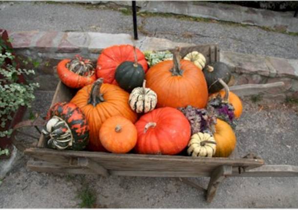 Tempo di Halloween