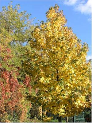 autunno