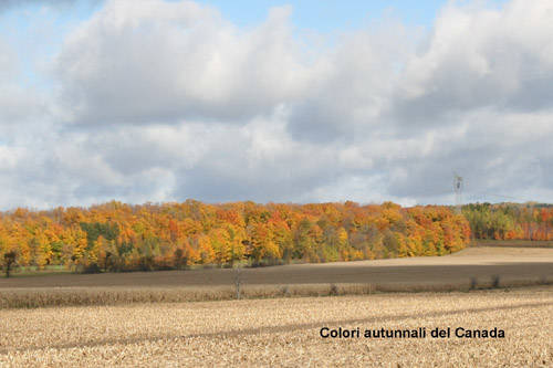 autunno