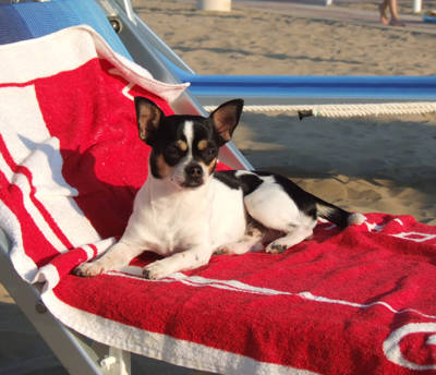 Bosco al Mare