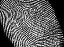 impronta digitale
