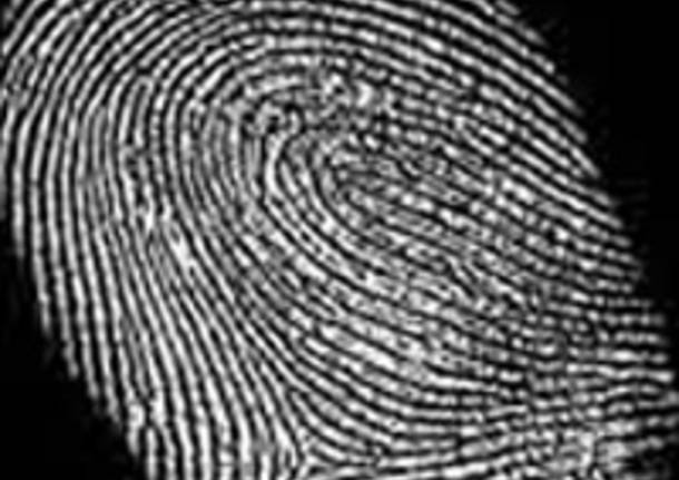 impronta digitale