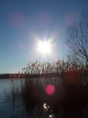 Lago