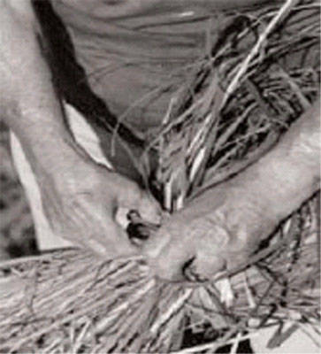 antichi mestieri