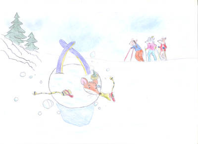 Concorso Geronimo Stilton classe VB gavirate