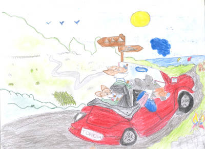 Concorso Geronimo Stilton classe VB gavirate