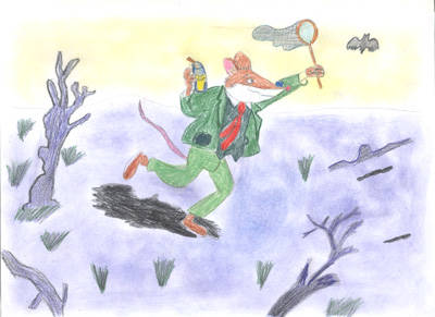 Concorso Geronimo Stilton classe VB gavirate
