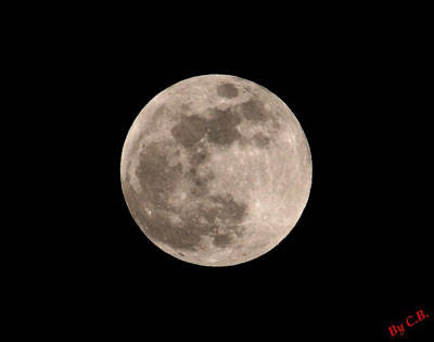 Eclisse 1